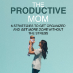 THE PRODUCTIVE MOM